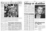 Síða 16