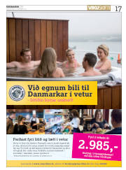 Síða 17