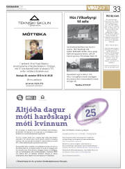 Síða 33