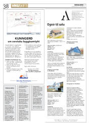 Síða 38