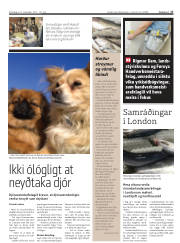 Síða 17