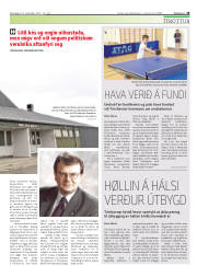 Síða 29