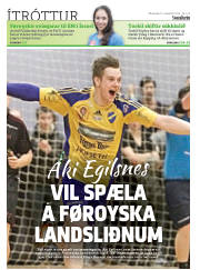 Síða 32