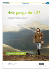 Síða 35