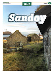 Síða 41