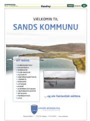 Síða 43