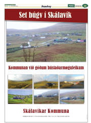 Síða 45