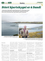 Síða 46