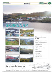 Síða 47