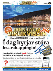 Síða 53