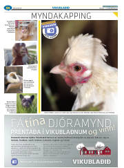 Síða 84