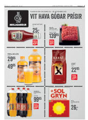 Síða 3