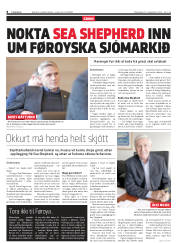 Síða 8