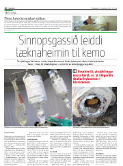 Síða 10