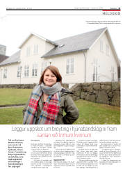 Síða 13