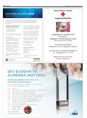 Síða 20