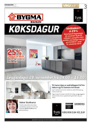 Síða 3