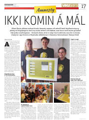 Síða 17