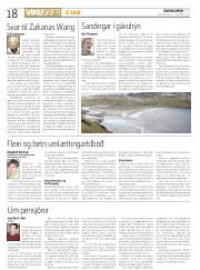 Síða 18