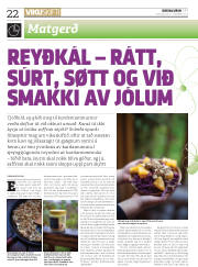 Síða 22
