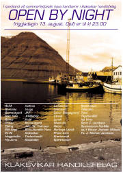 Síða 13