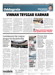 Síða 2