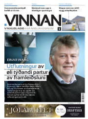 Síða 25
