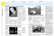Síða 5