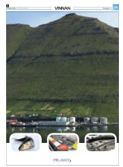Síða 49