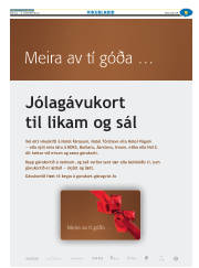 Síða 65