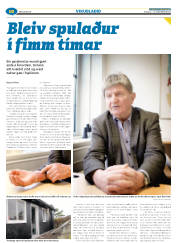 Síða 66