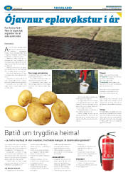 Síða 68