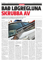 Síða 8