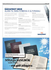 Síða 11