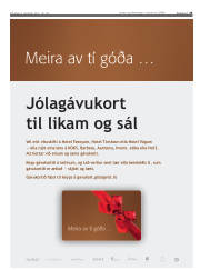 Síða 17