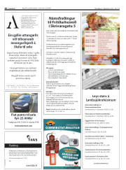 Síða 20