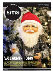 Síða 33