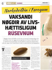 Síða 6