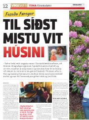 Síða 12