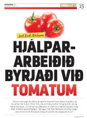 Síða 15
