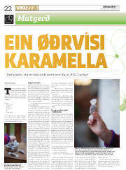 Síða 22
