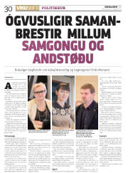 Síða 30