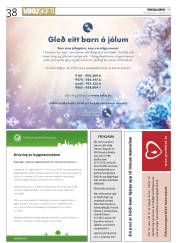 Síða 38