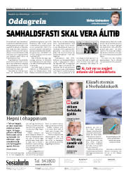 Síða 2