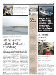 Síða 11