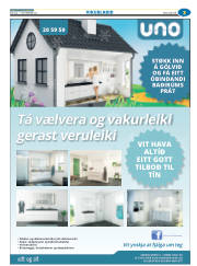 Síða 27