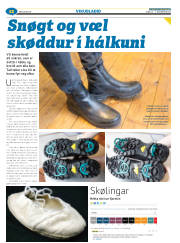 Síða 36