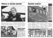 Síða 3