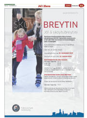 Síða 47
