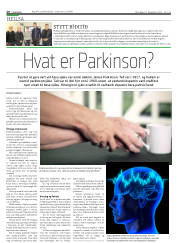 Síða 20